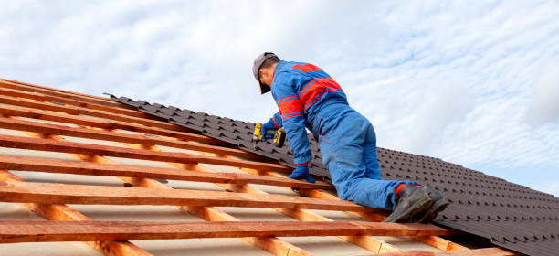 Best Roof Insulation Installation  in Orchard Mesa, CO