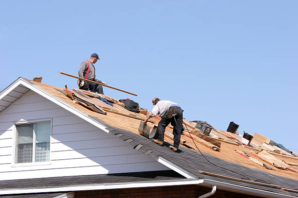 Best Gutter Installation and Repair  in Orchard Mesa, CO